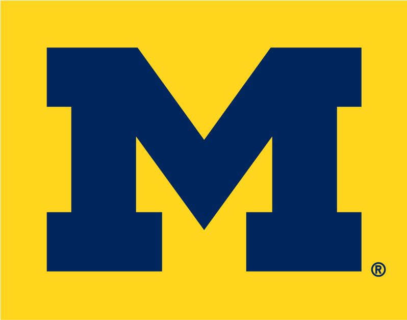 Michigan Wolverines 1996-Pres Alternate Logo v4 diy DTF decal sticker